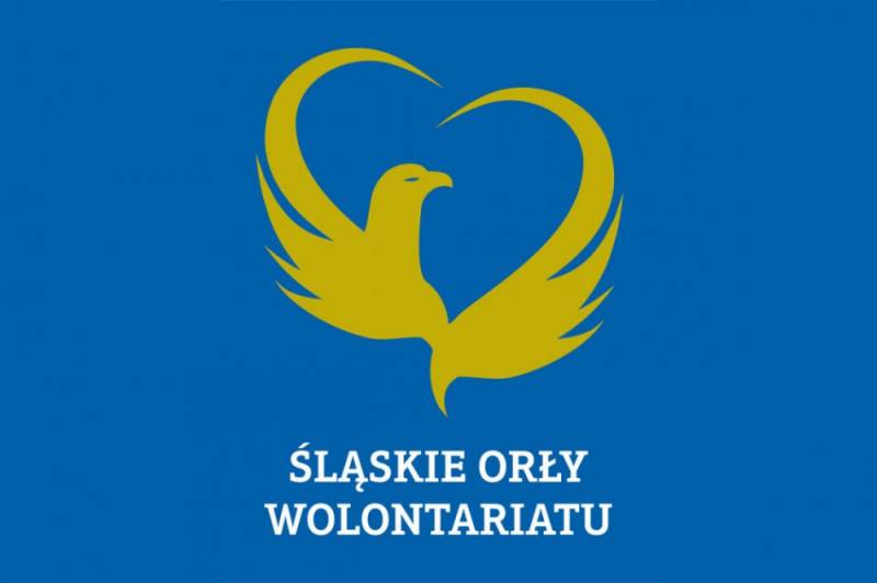 Zdjęcie: Śląskie Orły Wolontariatu